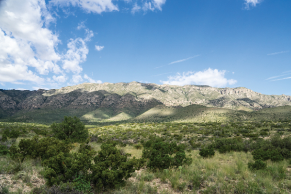 color photograph of the guadalupe mountains