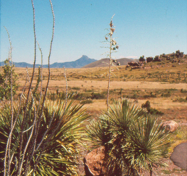 Figure 5: Basin and Range: Cookes Peak, Cookes Range, and the Mimbres Valley are part of a region of north-south trending mountain ranges and valleys. Visible at right are a few of the eroded boulders of City of Rocks State Park that once erupted from calderas in the Mogollon Mountains and were broken and eroded as the Basin and Range Province formed. Photograph by Dr. Larry Crumpler, New Mexico Museum of Natural History and Science.