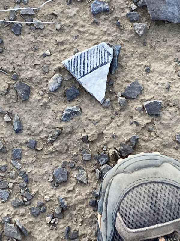 Black-and-white style Chacoan potsherd. Photograph by Scott Robinson.