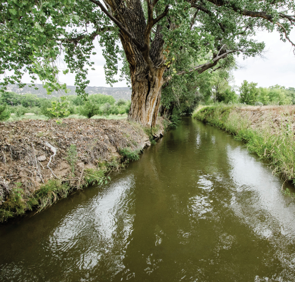 Acequia running through Los Luceros Historic Site.