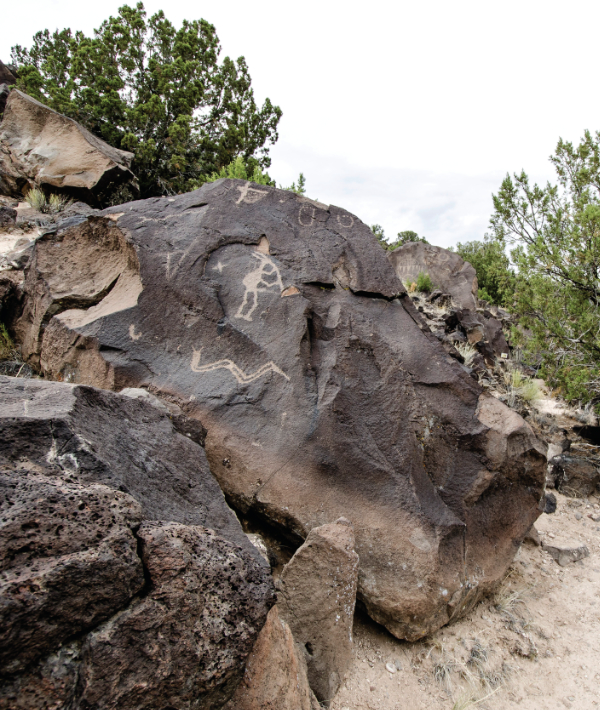 Petroglyph of a flute player. Below the flute player is a two-horned avanyu with a round object within its body. Other features on this panel include a sandal track, a bear track, and an equilateral cross or star.
