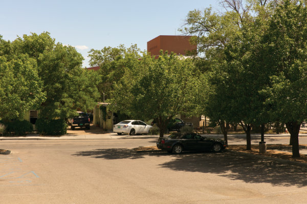 The houses where Adela Martinez once lived remain shrouded in old cottonwoods and the legend of her refusal to leave the site. Photograph by Addison Doty.