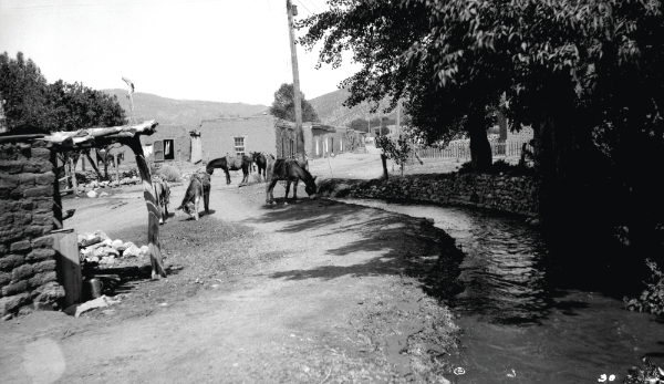 Harmon Parkhurst, Burros at Acequia Madre, Santa Fe, New Mexico, ca. 1915. Courtesy of the Palace of the Governors Photo Archives (NMHM/DCA), 011047.