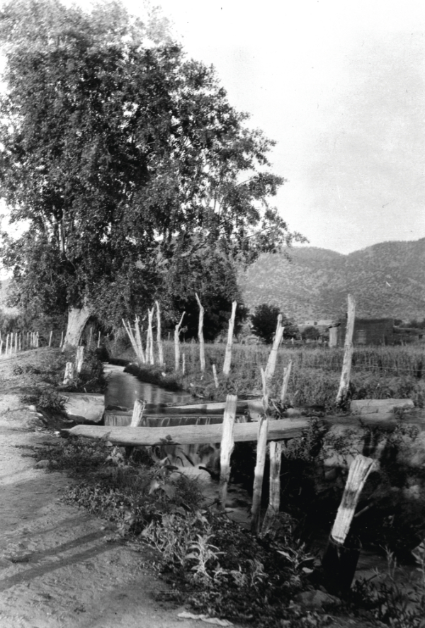 Acequia Madre irrigation ditch, Santa Fe, New Mexico, ca. 1890. Courtesy of the Palace of the Governors Photo Archives (NMHM/DCA), 055021.