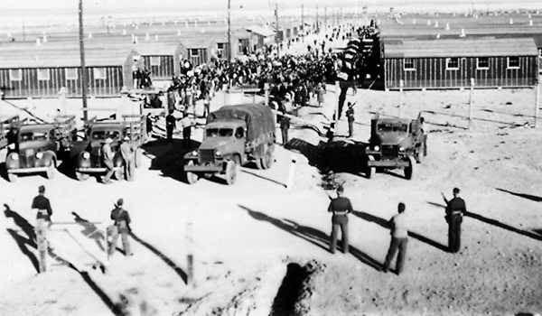 black and white photo of new mexico camp including many men, bunks and vehicles