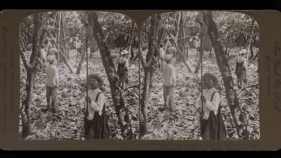 A group of children and adults stand among trees in a cacao plantation, some looking at the camera, surrounded by leaves and cacao pods. [gen-ai]