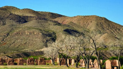 Ruins of adobe structures stand in front of leafless trees with arid, rocky hills rising in the background under a clear blue sky. [gen-ai]