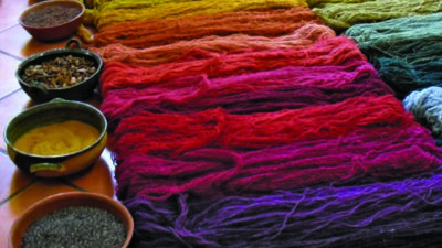 Colorful skeins of yarn are laid out in rows, transitioning from yellow to green to red and purple, with small bowls of natural dye materials placed beside them. [gen-ai]