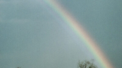 A person wearing a cowboy hat rides a white horse along a wooden fence in a field, with a rainbow visible in the cloudy sky. [gen-ai]