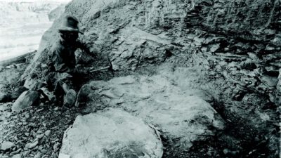 A person in outdoor clothing excavates fossils embedded in rocky terrain near a hillside. [gen-ai]