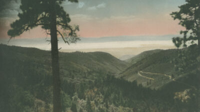 A view from Cloudcroft shows a tree in the foreground, forested hills, a winding road, and a pinkish sky over distant mountains. [gen-ai]