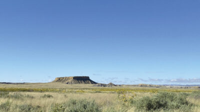 Landscape photograph with a clear blue sky, a foreground of high desert native plants and a mesa at the horizon.