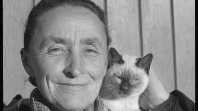 A woman with a scarf smiles while holding a Siamese cat close to her face in front of a wooden wall. [gen-ai]