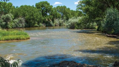 A wide, gently flowing river surrounded by dense green trees and shrubs under a clear blue sky. [gen-ai]