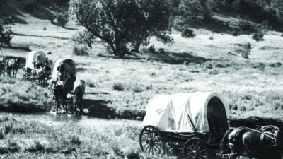 Three covered wagons, each pulled by horses, travel through a grassy landscape and cross a shallow stream in a rural setting. [gen-ai]