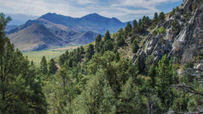 Middle Fork of the Gila River in the Gila Wilderness. Digital photograph by Jay Hemphill.