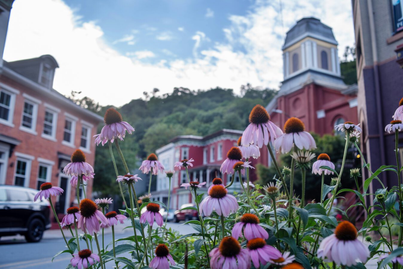 Purple coneflowers in focus with a small town street, historic buildings, and a church in the background on a partly cloudy day. [gen-ai]