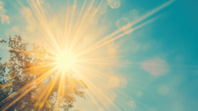 Bright sunlight shines through tree branches against a clear blue sky, with visible lens flare and sun rays spreading outward.