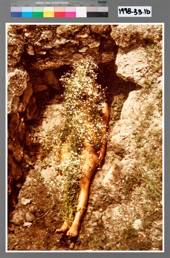 A nude person lies on rocky ground, covered with white wildflowers, partially concealed by the surrounding rocks and plants.